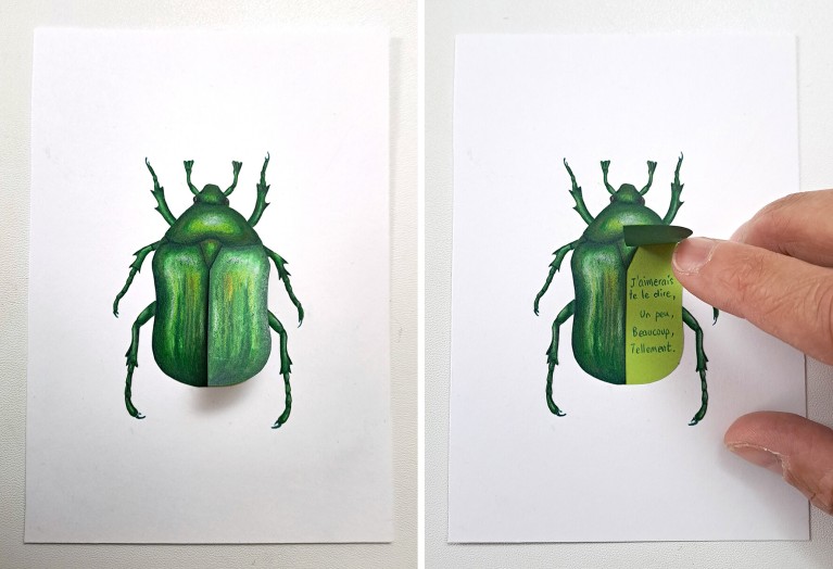 Photo d'illustration