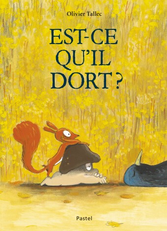 Couverture EST-CE QU'IL DORT ?